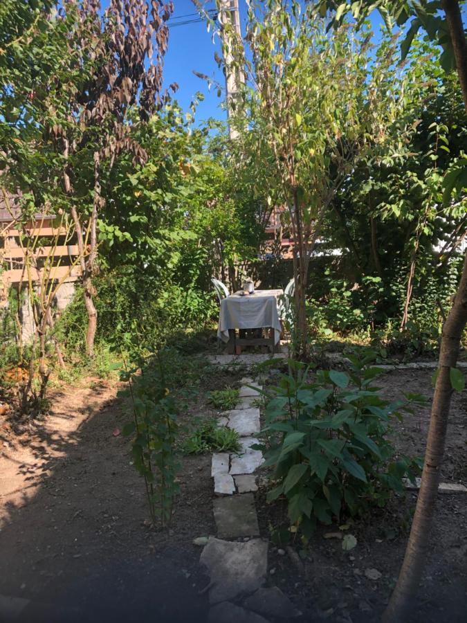 Chambre Spacieuse Dans Joli Village Alsacien Châtenois Exterior foto