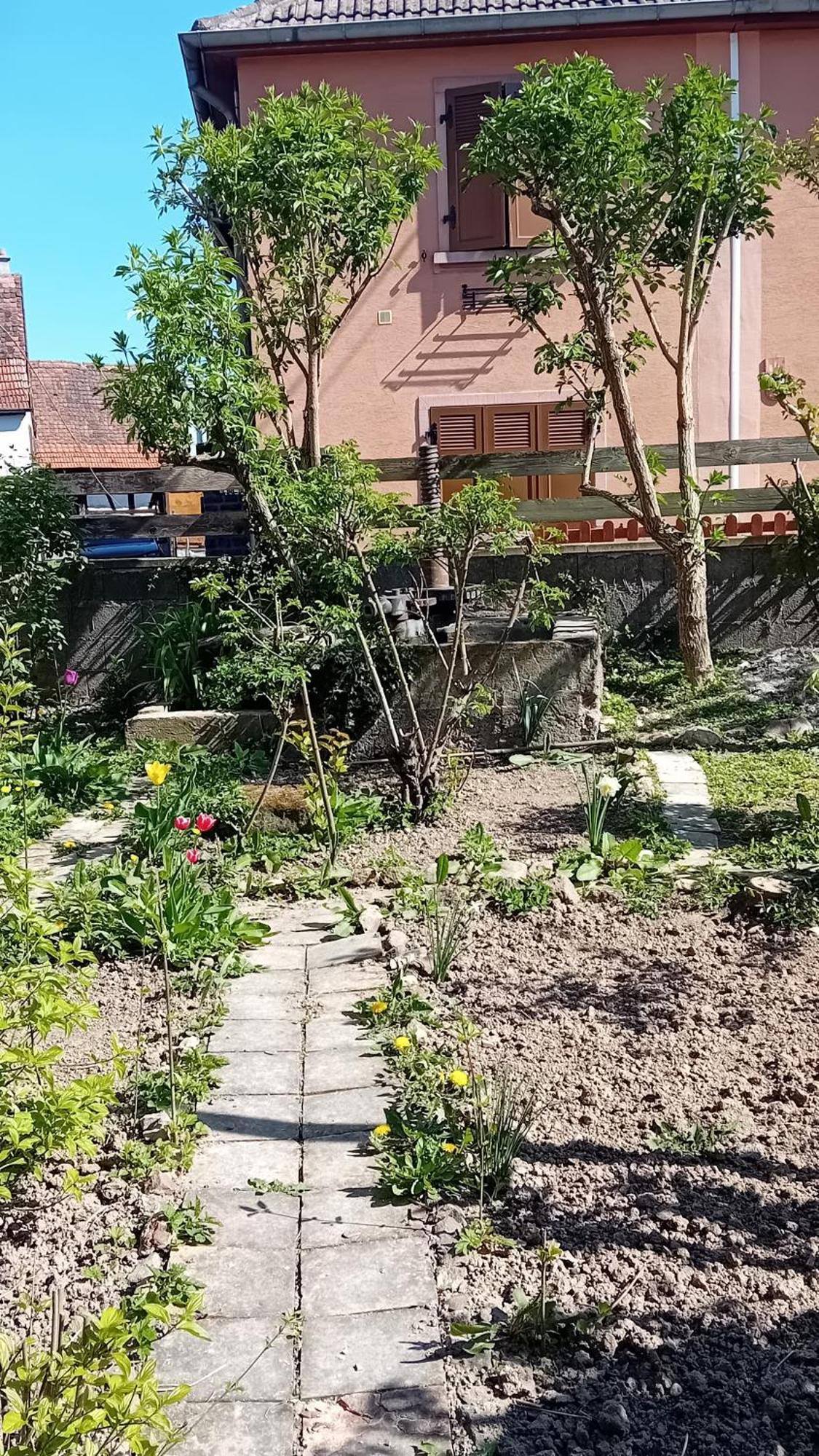 Chambre Spacieuse Dans Joli Village Alsacien Châtenois Exterior foto